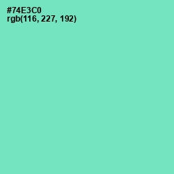 #74E3C0 - Aquamarine Color Image