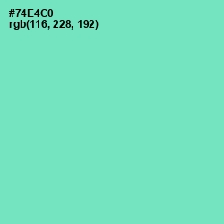 #74E4C0 - Aquamarine Color Image