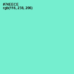 #74EECE - Aquamarine Color Image