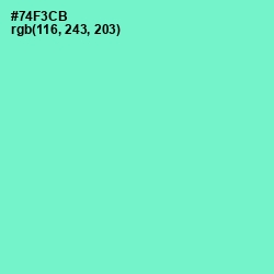 #74F3CB - Aquamarine Color Image