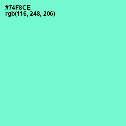 #74F8CE - Aquamarine Color Image