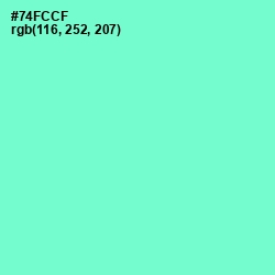 #74FCCF - Aquamarine Color Image