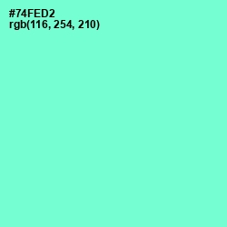#74FED2 - Aquamarine Color Image