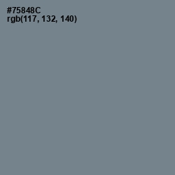 #75848C - Blue Smoke Color Image