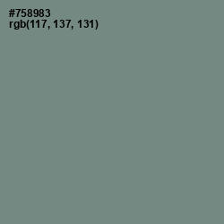 #758983 - Blue Smoke Color Image