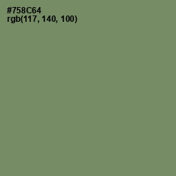 #758C64 - Camouflage Green Color Image