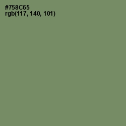 #758C65 - Camouflage Green Color Image