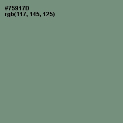 #75917D - Laurel Color Image