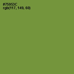 #75953C - Wasabi Color Image