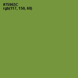 #75963C - Wasabi Color Image