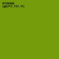 #759D0B - Limeade Color Image