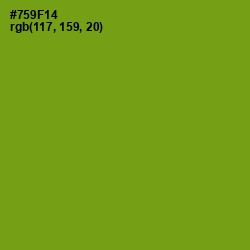 #759F14 - Limeade Color Image