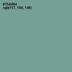 #75A094 - Sea Nymph Color Image