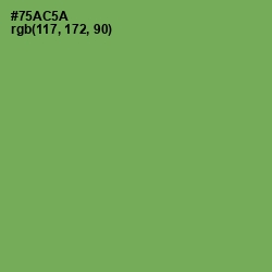 #75AC5A - Asparagus Color Image