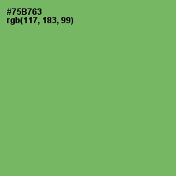 #75B763 - Fern Color Image