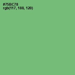 #75BC78 - Fern Color Image