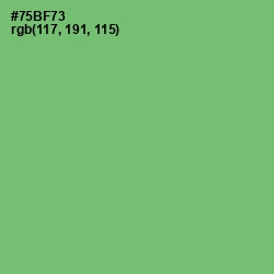 #75BF73 - Fern Color Image