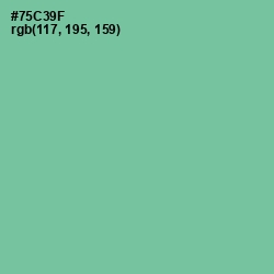 #75C39F - De York Color Image