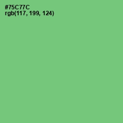 #75C77C - Pastel Green Color Image