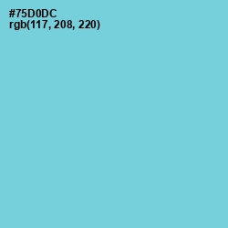 #75D0DC - Viking Color Image