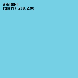 #75D0E6 - Sky Blue Color Image
