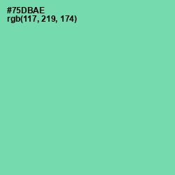 #75DBAE - De York Color Image