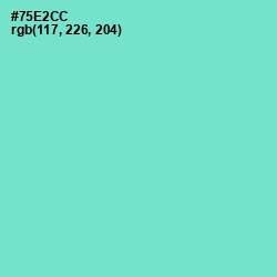 #75E2CC - Aquamarine Color Image