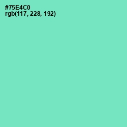 #75E4C0 - Aquamarine Color Image