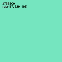 #75E5C0 - Aquamarine Color Image