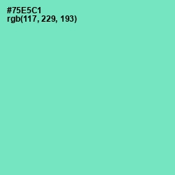 #75E5C1 - Aquamarine Color Image