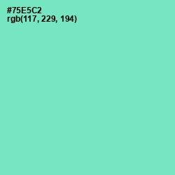 #75E5C2 - Aquamarine Color Image