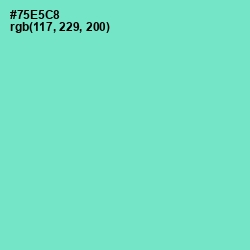 #75E5C8 - Aquamarine Color Image