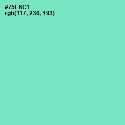 #75E6C1 - Aquamarine Color Image