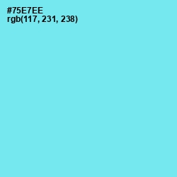 #75E7EE - Spray Color Image
