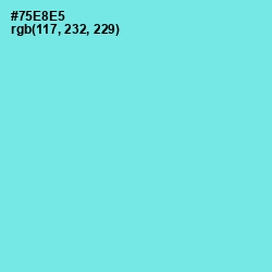 #75E8E5 - Spray Color Image