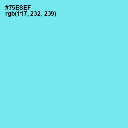 #75E8EF - Spray Color Image