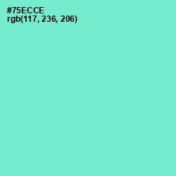 #75ECCE - Aquamarine Color Image