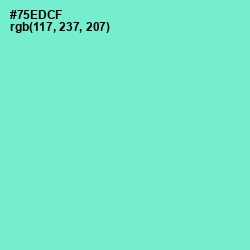 #75EDCF - Aquamarine Color Image