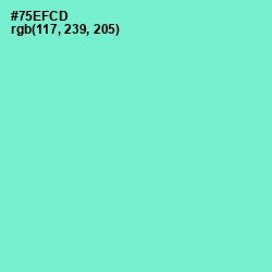 #75EFCD - Aquamarine Color Image