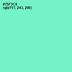 #75F3C8 - Aquamarine Color Image