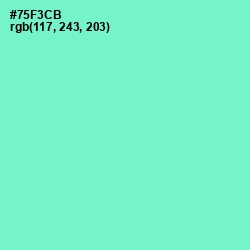 #75F3CB - Aquamarine Color Image