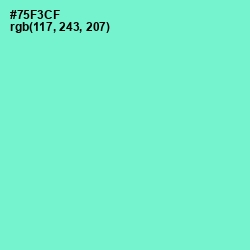 #75F3CF - Aquamarine Color Image