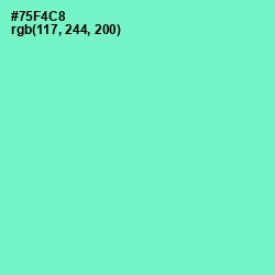 #75F4C8 - Aquamarine Color Image