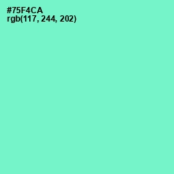 #75F4CA - Aquamarine Color Image