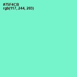 #75F4CB - Aquamarine Color Image