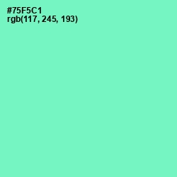 #75F5C1 - Aquamarine Color Image