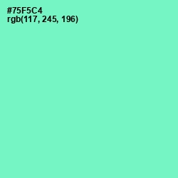 #75F5C4 - Aquamarine Color Image