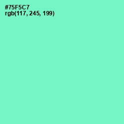 #75F5C7 - Aquamarine Color Image