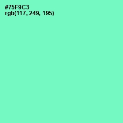 #75F9C3 - Aquamarine Color Image