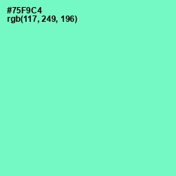 #75F9C4 - Aquamarine Color Image